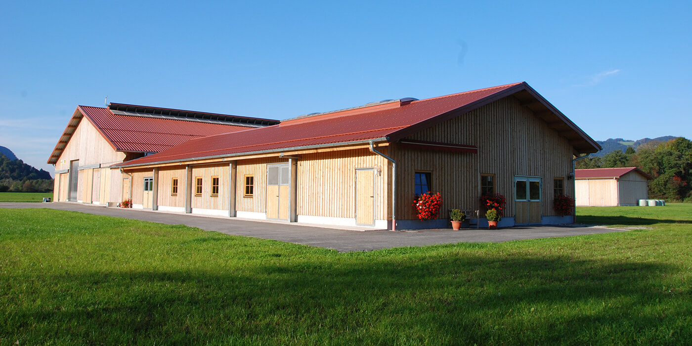 Halle aus Trapezblech in Holzoptik